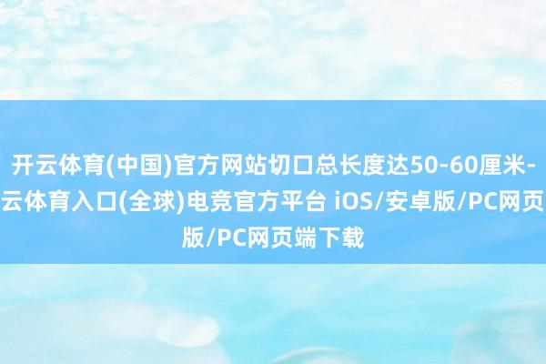 开云体育(中国)官方网站切口总长度达50-60厘米-开yun云体育入口(全球)电竞官方平台 iOS/安卓版/PC网页端下载