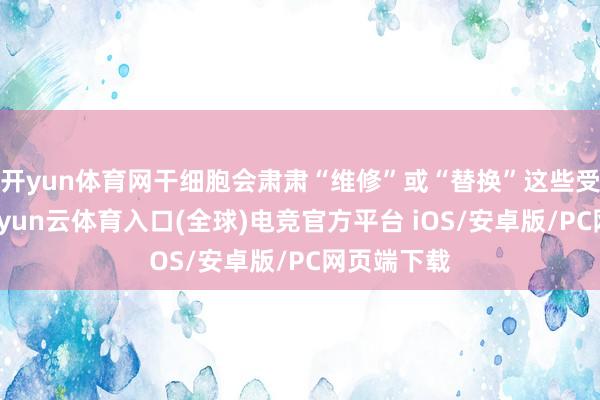 开yun体育网干细胞会肃肃“维修”或“替换”这些受损细胞-开yun云体育入口(全球)电竞官方平台 iOS/安卓版/PC网页端下载