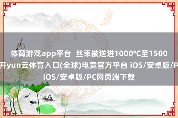 体育游戏app平台  丝束被送进1000℃至1500℃的高温炉-开yun云体育入口(全球)电竞官方平台 iOS/安卓版/PC网页端下载