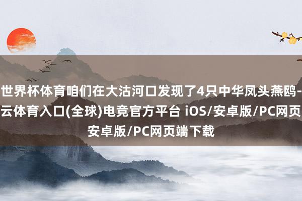 世界杯体育咱们在大沽河口发现了4只中华凤头燕鸥-开yun云体育入口(全球)电竞官方平台 iOS/安卓版/PC网页端下载